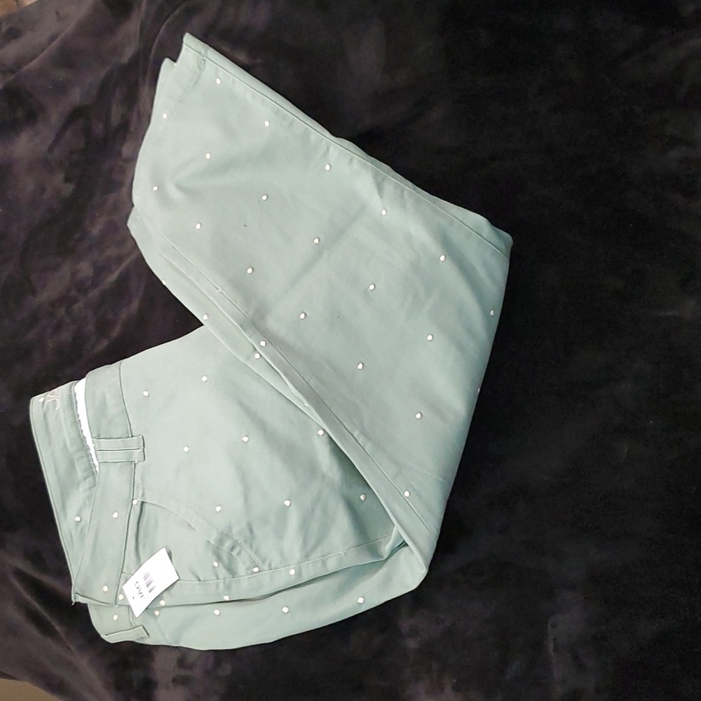 Nwt jag jeans green w polka dot 22W